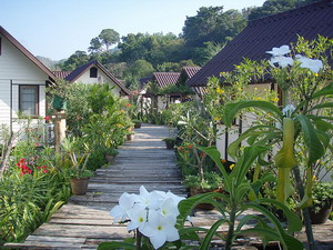 Ko Phi Phi Don Accommodation